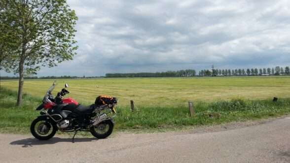 Ooievaars in het veld nabij Herwijen / A15 (Nieuwe Steeg / Mert)