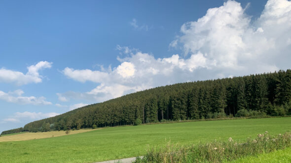 Wanderparkplatz - Wehrscheid