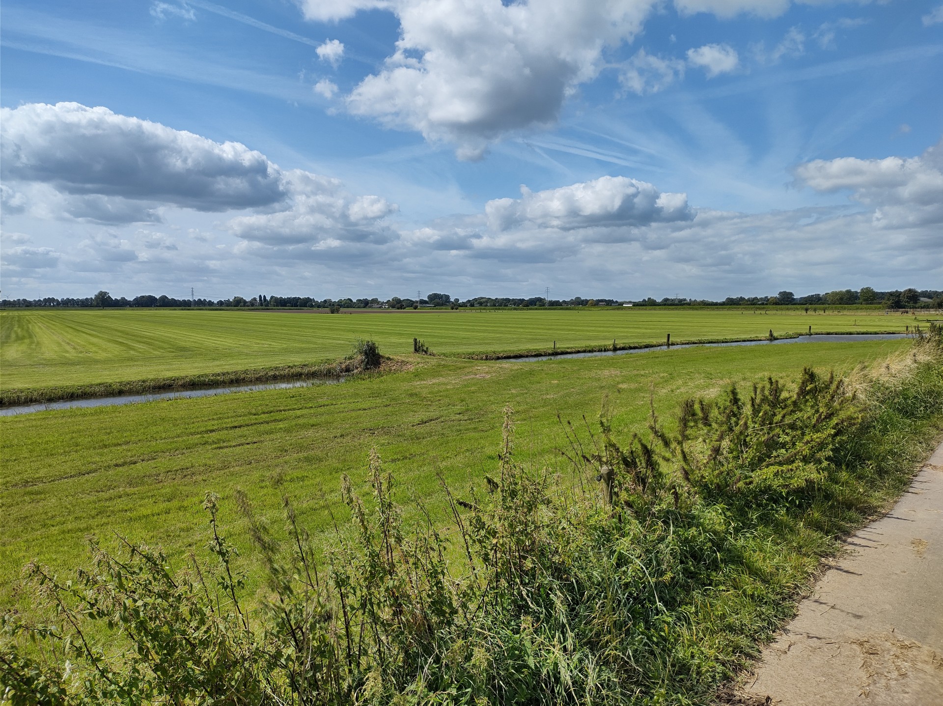Weilanden nabij Asch (Betuwe)