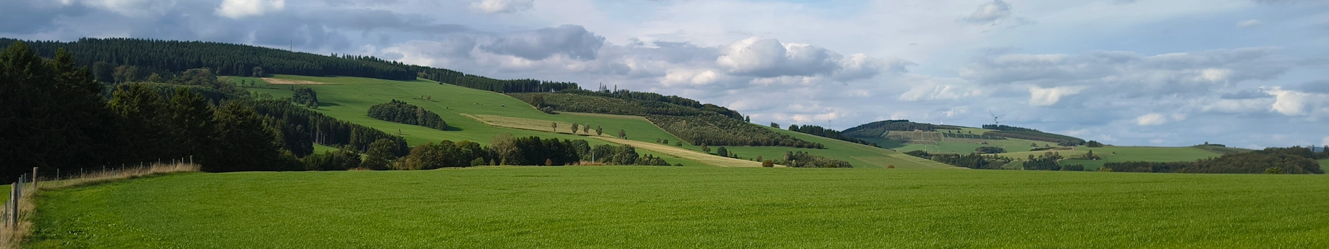 Wüllner - Zonnetje